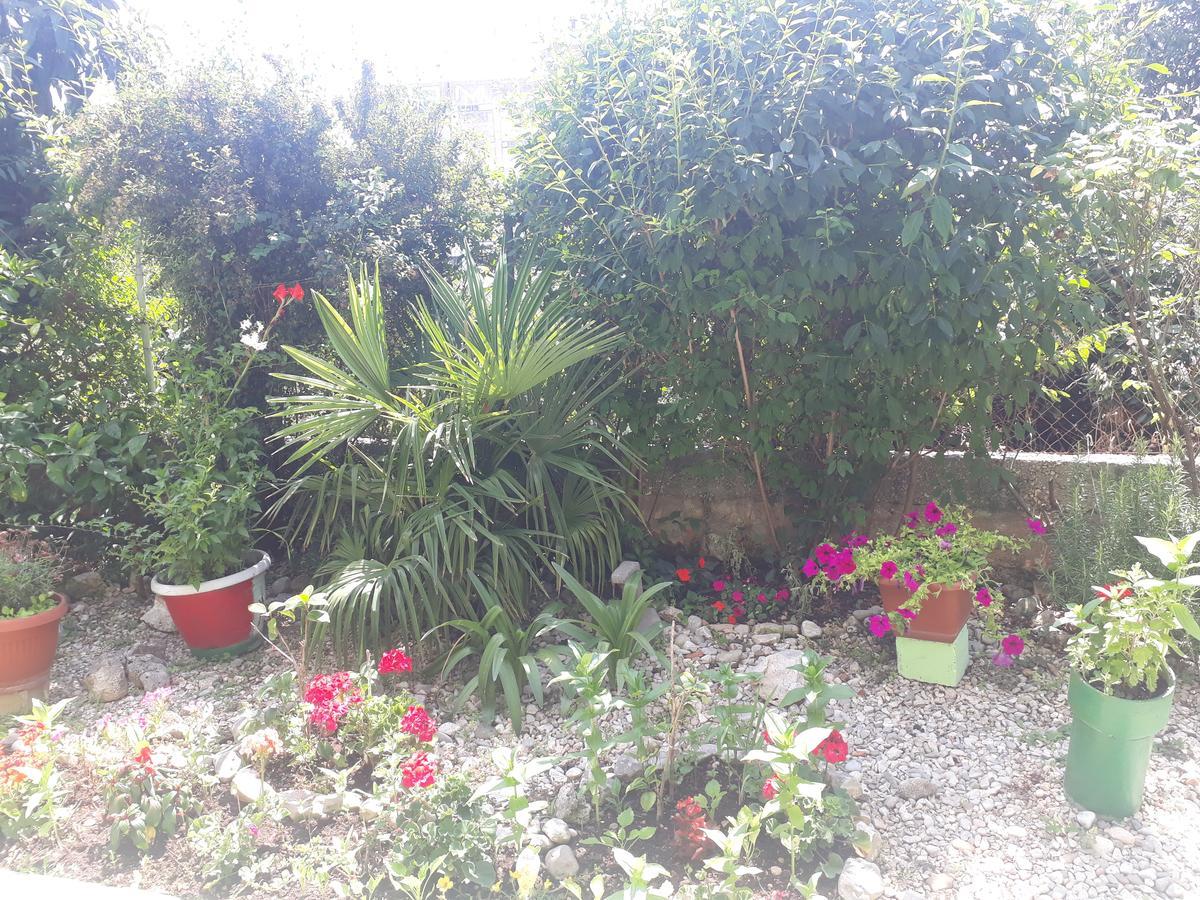 Green Hostel Ζαντάρ Εξωτερικό φωτογραφία