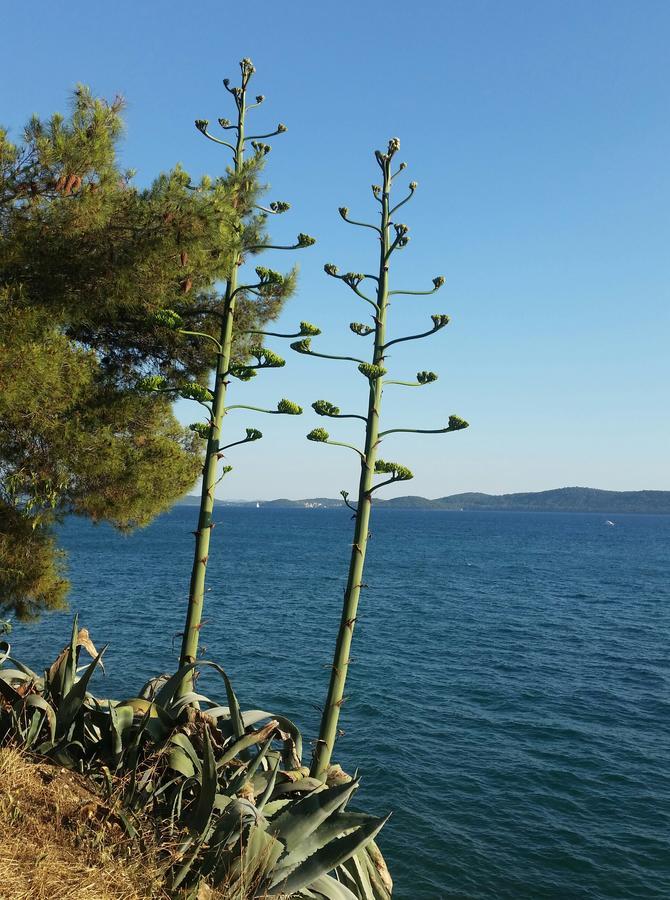 Green Hostel Ζαντάρ Εξωτερικό φωτογραφία
