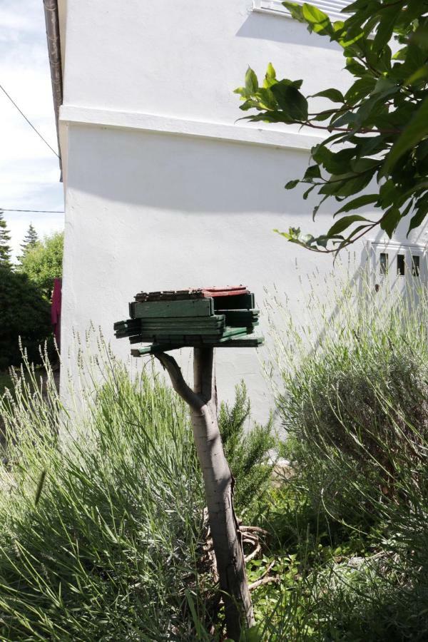 Green Hostel Ζαντάρ Εξωτερικό φωτογραφία