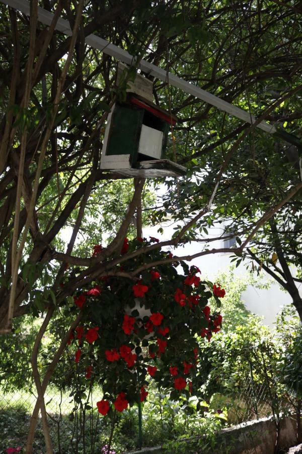 Green Hostel Ζαντάρ Εξωτερικό φωτογραφία