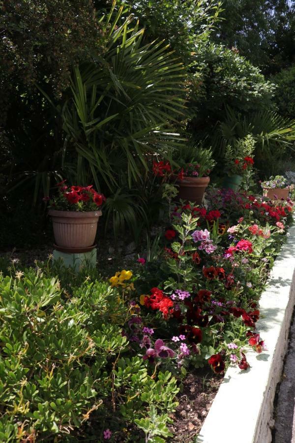 Green Hostel Ζαντάρ Εξωτερικό φωτογραφία
